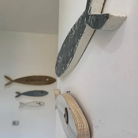 Once Upon A Fish