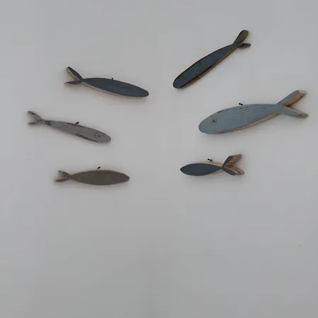 Once Upon A Fish *
